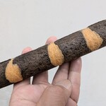 やなかしっぽや - 焼ドーナツ とら　150円