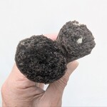 やなかしっぽや - 焼ドーナツ とら　断面