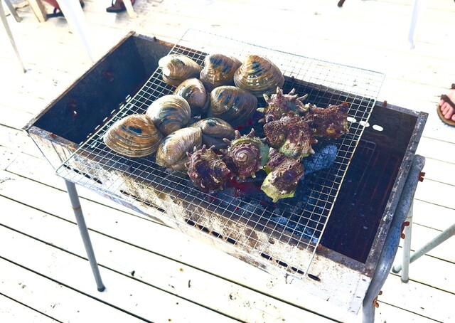 LOCO PALM様　予約分　魚沼 globatt-ej_k-167