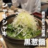 山下きんぎょ - 