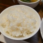 キッチン ブルー グローブ - ご飯大盛りのアップ