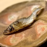 道人 - ⑥上桂の鮎塩焼き
      〜この時期は稚鮎よりも大きく、小骨はあるので女将さんに小骨を抜いて頂くが、ある程度はバリバリと噛み砕けるくらいで旨味が増して良い歯応え。