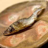 道人 - ⑥上桂の鮎塩焼き
                    〜この時期は稚鮎よりも大きく、小骨はあるので女将さんに小骨を抜いて頂くが、ある程度はバリバリと噛み砕けるくらいで旨味が増して良い歯応え。