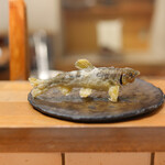 天ぷら もっこす - 鮎