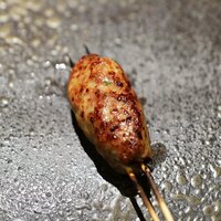 YAKITORI 燃 es - 