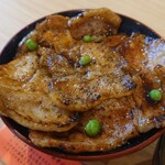 豚丼のぶたはげ 道の駅おとふけ店 - 豚丼接写