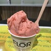 FLOR GELATO ITALIANO OSAKA