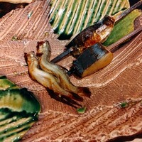 北海道炉端焼き 篝 - 
