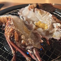 眞か SHINKA - 
