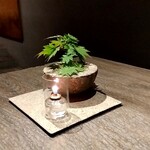 現代茶寮 銀座風月堂 - 