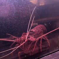 麻布十番 鉄板焼 楼漫亭 - 