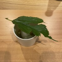 柚木元 - 