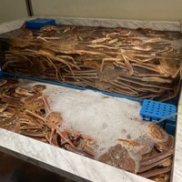 かに道楽 銀座八丁目店 - 