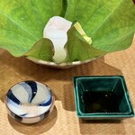 壽山 - アコウ、アオリイカ