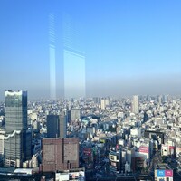 ホテルオークラレストラン新宿 中国料理 桃里 - 