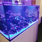 和牛赤身&wine 焼肉 山 - 