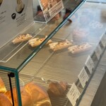 フォルテシモ アッシュ - 