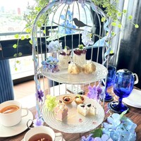 渋谷 Blue bird - 