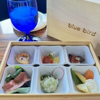 渋谷 Blue bird - 