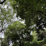 レイドバックバーガー - 