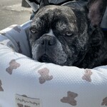 那須高原バル - 