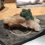 寿司栄 - ボタンエビ握り