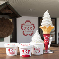 circle k アイスクリーム冷凍庫