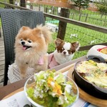 ドッグデプトプラスカフェ - 