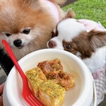 ドッグデプトプラスカフェ - 