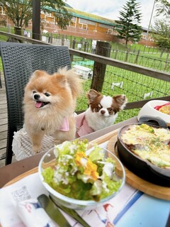 DOG DEPT.+CAFE Karuizawapurinsuten