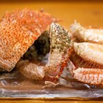 光寿司 - 2024.7 ボイル毛蟹