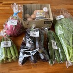 アグリハウスこちんだ - 