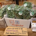 カッフェ ビアンコ - 