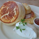 ヨーキーズブランチ - 