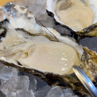 四ツ橋・新町 牡蠣と肉たらしビストロAKIRA - 