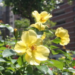 SMAAK - 市役所前