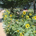 SMAAK - 市役所前