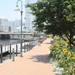 SMAAK - 市役所前