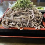 本格手打ち蕎麦・うどん 芭蕉苑 本店 - そば　これで普通盛り