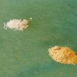 sio AOYAMA - 薪火焼きステーキ③塩は2種