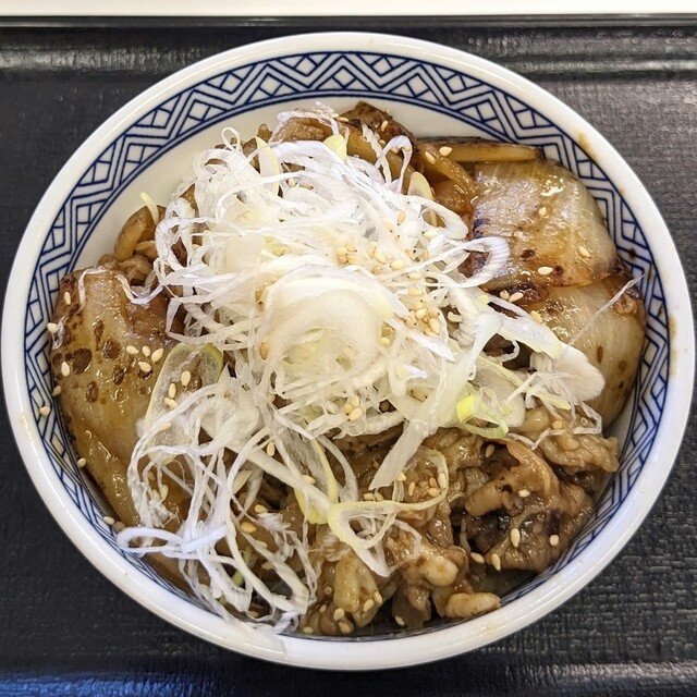 Yoshinoya Neyagawashi Ekimae Ten photo 5