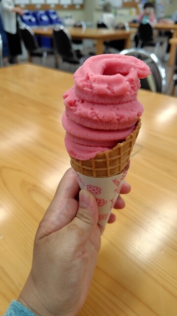 Kyoto Furitsu Shokubutsuen Shokubutsukaikan Shop