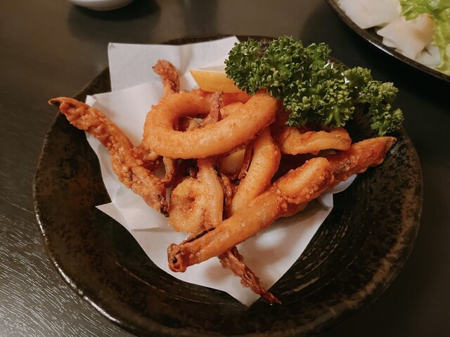 料理写真