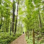 珈琲 森の時計 - 