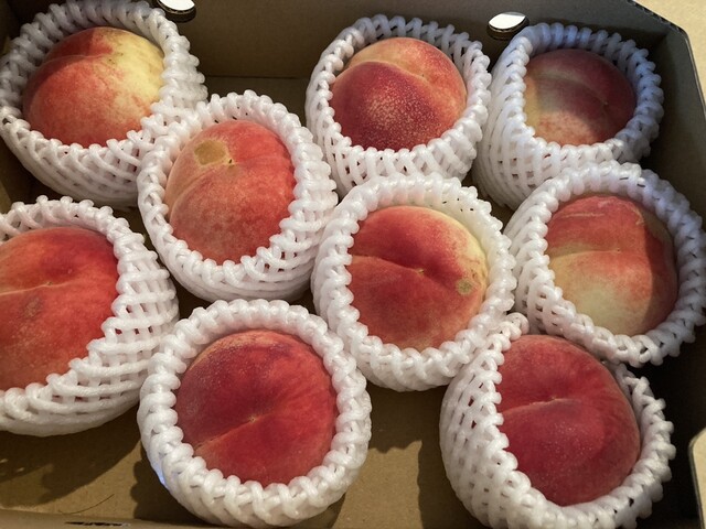 くにみ市場 - 藤田（その他）の写真