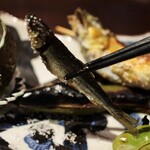 旬魚旬菜 満うら - 