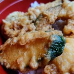 やぶ善 - ズッキーニ。