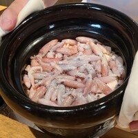 日本料理FUJI - ⑬神頭烏賊(静岡産焼津産、サスエ前田魚店)の炊き込みご飯、蒸し神頭烏賊(静岡県焼津産、サスエ前田魚店)の幼個体載せ
                    鮮度が良いと神頭烏賊は旨みが強くて美味しい
                    それに幼個体まであり嬉しいしかない