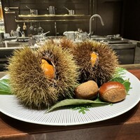 スガラボヴィー - 