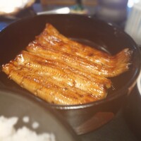 うなぎ秋本 - うな重 鶴